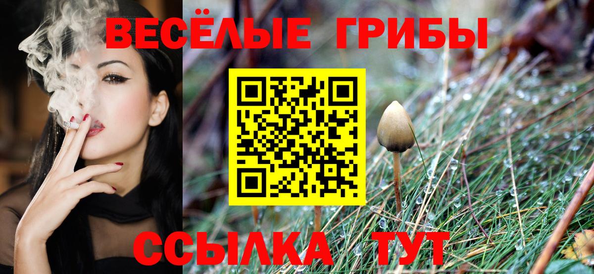 наркотики  Вход с VPN  Аргун  Псилоцибиновые грибы Magic Shrooms 