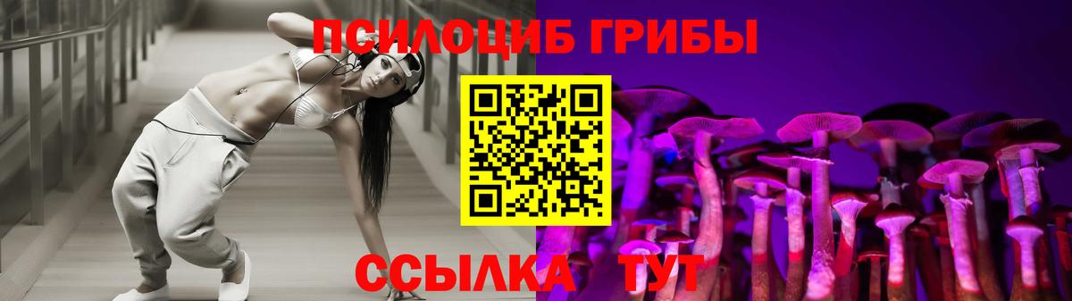 Галлюциногенные грибы Cubensis Аргун